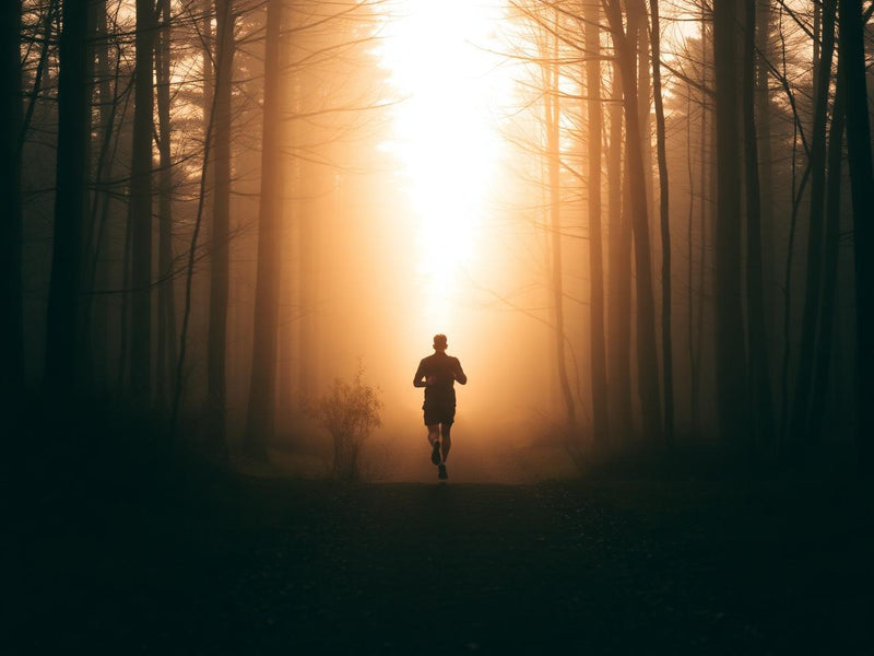 Running as Therapy: Mental Health Benefits