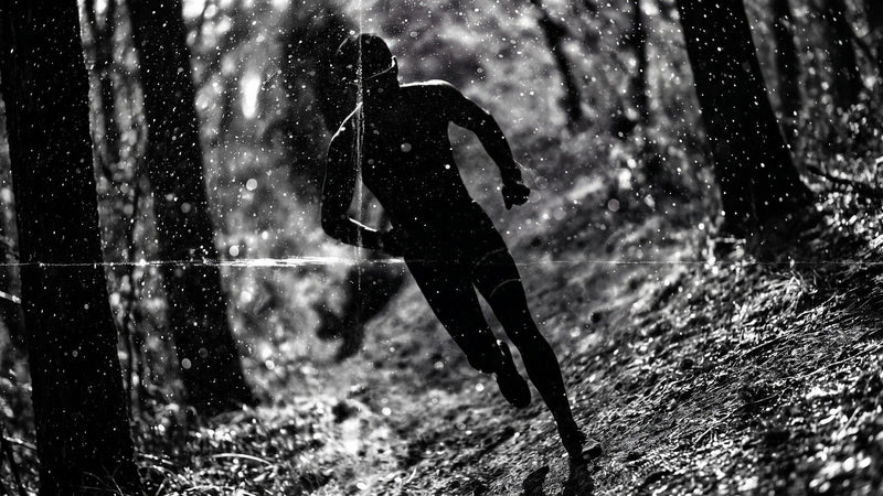 Black and white image of a trail runner in rain among forest trees